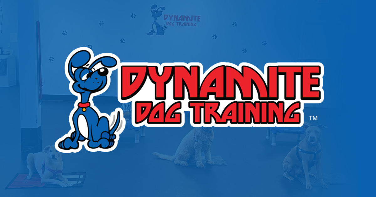 Dynamite on sale dog training